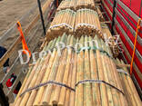 Abgerundete Spitzstäbe aus Holz zur Stärkung von Baumsetzlingen (Pfosten aus holz) - photo 2