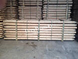 Abgerundete Spitzstäbe aus Holz zur Stärkung von Baumsetzlingen (Pfosten aus holz) - photo 4
