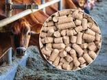 Rinderfutter ab nur 210 $/Tonne – Direktverkauf - photo 4