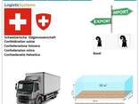 Автотранспортні вантажні перевезення з Базеля в Базель разом з Logistic Systems - фото 7