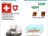 Автотранспортные грузоперевозки из Берна в Берн с Logistic Systems - фото 5