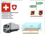 Автотранспортные грузоперевозки из Берна в Берн с Logistic Systems - фото 6