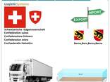 Автотранспортные грузоперевозки из Берна в Берн с Logistic Systems - фото 10
