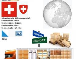 Автотранспортні вантажні перевезення з Цюриха в Цюрих разом з Logistic Systems