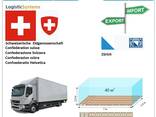 Автотранспортные грузоперевозки из Цюриха в Цюрих с Logistic Systems - фото 7