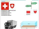 Автотранспортні вантажні перевезення з Лозанни в Лозанну разом з Logistic Systems - фото 6