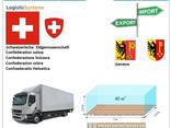 Автотранспортные грузоперевозки из Женевы в Женеву с Logistic Systems - фото 7