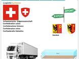 Автотранспортные грузоперевозки из Женевы в Женеву с Logistic Systems - фото 8