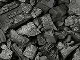 Charcoal - фото 1