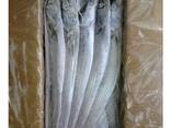 Frozen fresh whole round ribbon fish for sale - фото 1