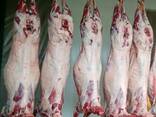 Frozen meat mutton, lamb, beef - photo 1
