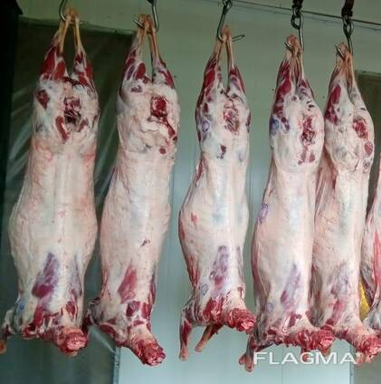 Frozen meat mutton, lamb, beef