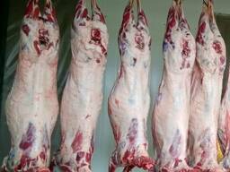 Frozen meat mutton, lamb, beef