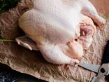Halal Frozen Chicken, Thigh, Back quarter, Wings , Fillet IPBF , IQF, BF. Ukraine - photo 1