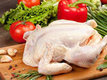 Halal - Frozen Chicken, Thigh, Back quarter, Wings , Fillet IPBF , IQF, BF. Ukraine ! - photo 3