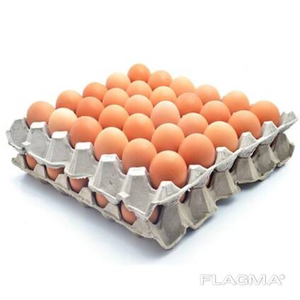 High Quality Suppliers of FRESH Chicken eggs/ Farm Chicken Eggs Available