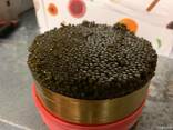 Caviar from sturgeon - photo 1
