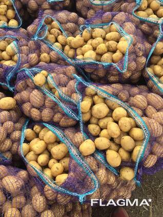 Je vais vendre des pommes de terre en vrac