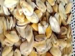 Мороженная рыба и морепродукты от завода из КНР в Швейцарию - фото 9