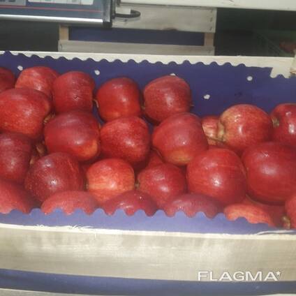 Polish apples (wide range of varieties)