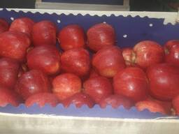 Polish apples (wide range of varieties)