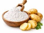 Potato starch, produced in Belarus - photo 1