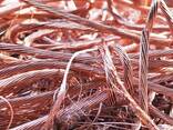 Pure Copper Wire Scrap / Copper Wire Scrap Competitive-Price - photo 1