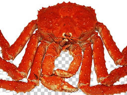 Red King Crab Frozen King Crab Food King Crab Legs