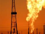 We will buy natural gas to Ukraine. - photo 1