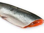 Wholesale Salmon Fish Frozen Fillet Fresh And Frozen Atlantic Salmon Fish/ Trout Fish - фото 1