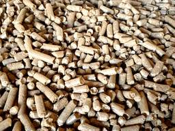 Biomass Energy Wood Fuel Briquette